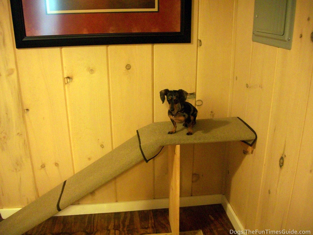 Best ideas about DIY Dog Ramp For Bed
. Save or Pin Dog Bed Ramp Plans – How To build DIY Woodworking Now.