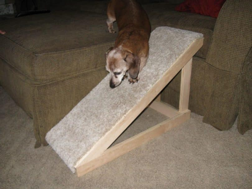 Best ideas about DIY Dog Ramp For Bed
. Save or Pin How to Build A Dog Ramp Tools And Materials Now.