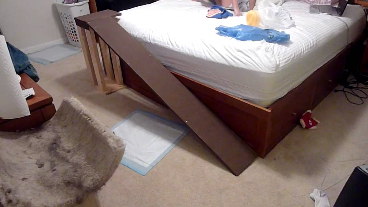 Best ideas about DIY Dog Ramp For Bed
. Save or Pin Dog runs up the ramp Now.
