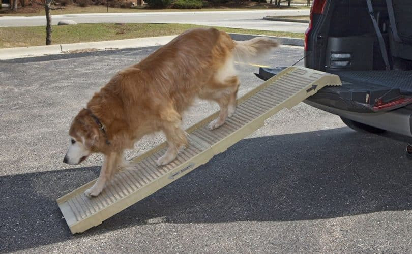 Best ideas about DIY Dog Ramp For Car
. Save or Pin How to Build A Dog Ramp Tools And Materials Now.