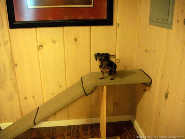 Best ideas about DIY Dog Ramp For Car
. Save or Pin How To Build A Dog Ramp Yourself Now.