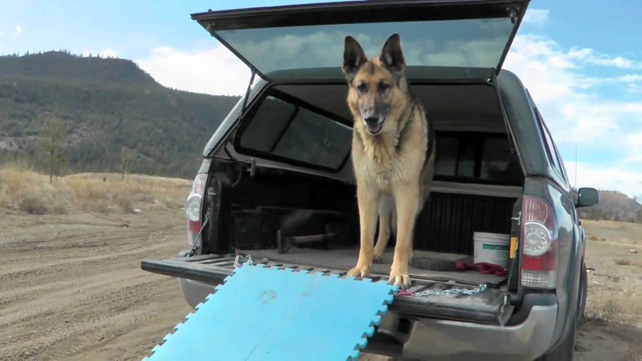 Best ideas about DIY Dog Ramp For Car
. Save or Pin Dog Ramp Now.