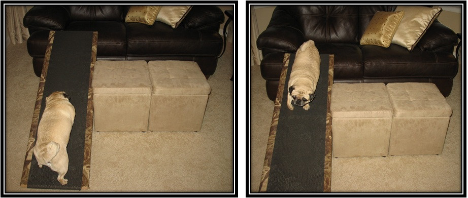 Best ideas about DIY Dog Ramp For Stairs
. Save or Pin Easy DIY Dog Ramp Now.