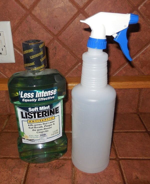 Best ideas about DIY Dog Repellent
. Save or Pin Homemade Dog Urine Repellent Homemade Ftempo Luxury Now.