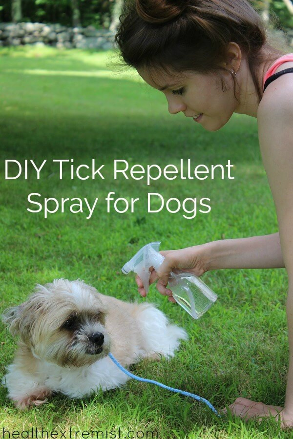 Best ideas about DIY Dog Repellent
. Save or Pin Natural DIY Tick Repellent Spray for Dogs Just 3 Now.