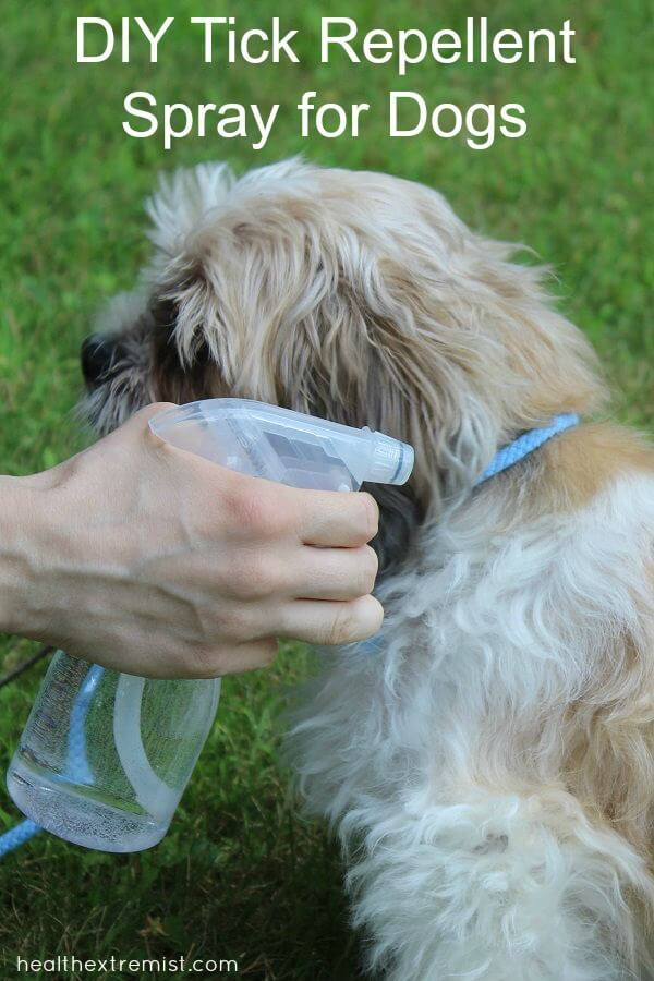 Best ideas about DIY Dog Repellent
. Save or Pin Natural DIY Tick Repellent Spray for Dogs Just 3 Now.