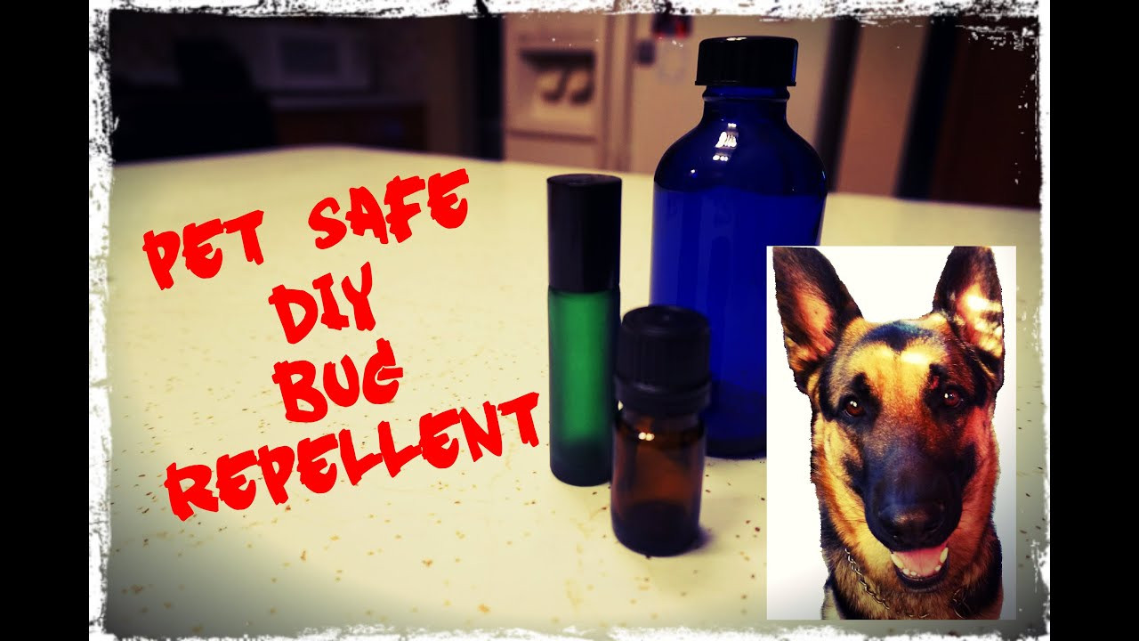 Best ideas about DIY Dog Repellent
. Save or Pin DIY The Best Natural Dog Friendly Bug Repellent for Ticks Now.