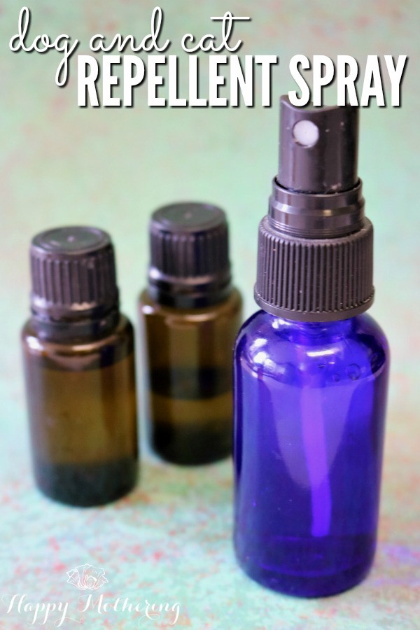 Best ideas about DIY Dog Repellent
. Save or Pin DIY Dog and Cat Repellent Spray with Essential Oils Now.