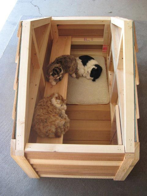 Best ideas about DIY Dog Shelter
. Save or Pin 17 Best ideas about Outdoor Cat Houses on Pinterest Now.