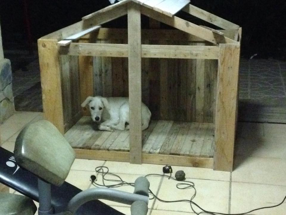 Best ideas about DIY Dog Shelter
. Save or Pin Animal Shelters Made from Pallets Now.