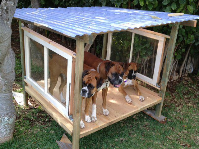 Best ideas about DIY Dog Shelter
. Save or Pin shade or shelter for outdoor dog run made with salvaged Now.