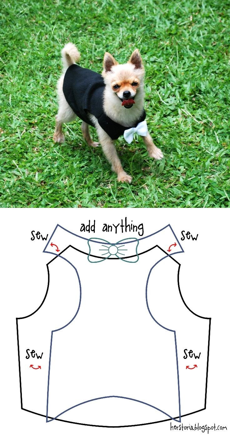 Best ideas about DIY Dog Shirts
. Save or Pin 1200 best images about Ideas for Dogs on Pinterest Now.