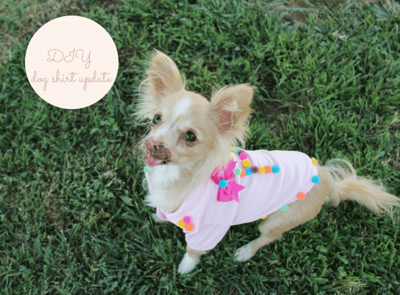 Best ideas about DIY Dog Shirts
. Save or Pin 21 Easy DIY Craft Projects for Pet Owners Miss Molly Says Now.