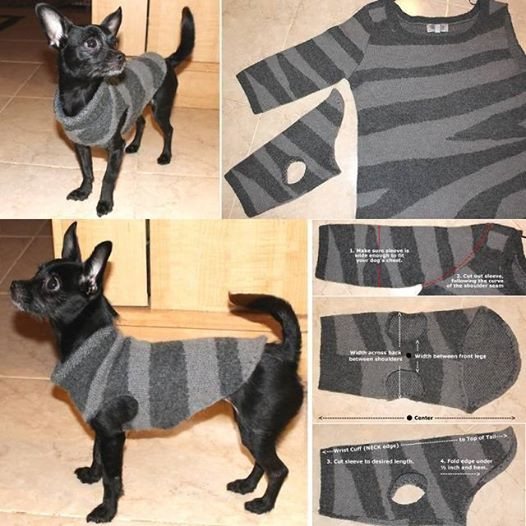 Best ideas about DIY Dog Shirts
. Save or Pin Wonderful DIY Pet Bed From Old Shirt & Sweater Now.