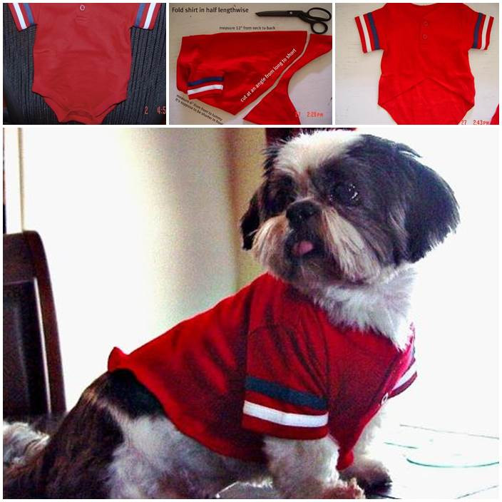 Best ideas about DIY Dog Shirts
. Save or Pin DIY Cute Pants for Dog Now.