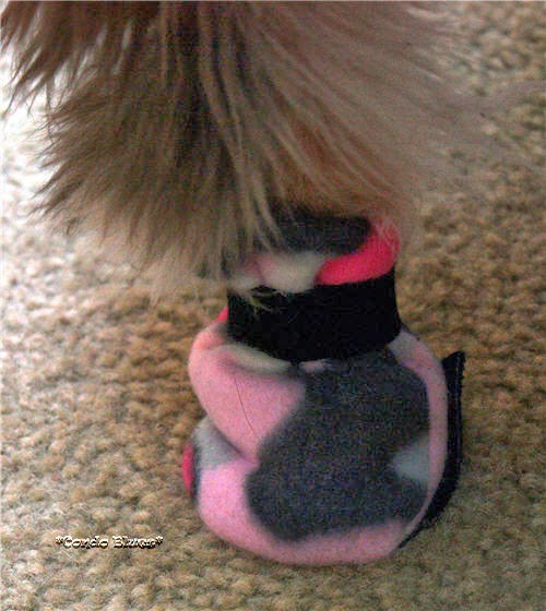 Best ideas about DIY Dog Shoes
. Save or Pin Condo Blues How to Make Dog Boots Now.