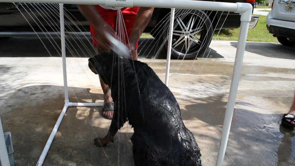 Best ideas about DIY Dog Shower
. Save or Pin Create an Outdoor Shower for Your Dog Now.