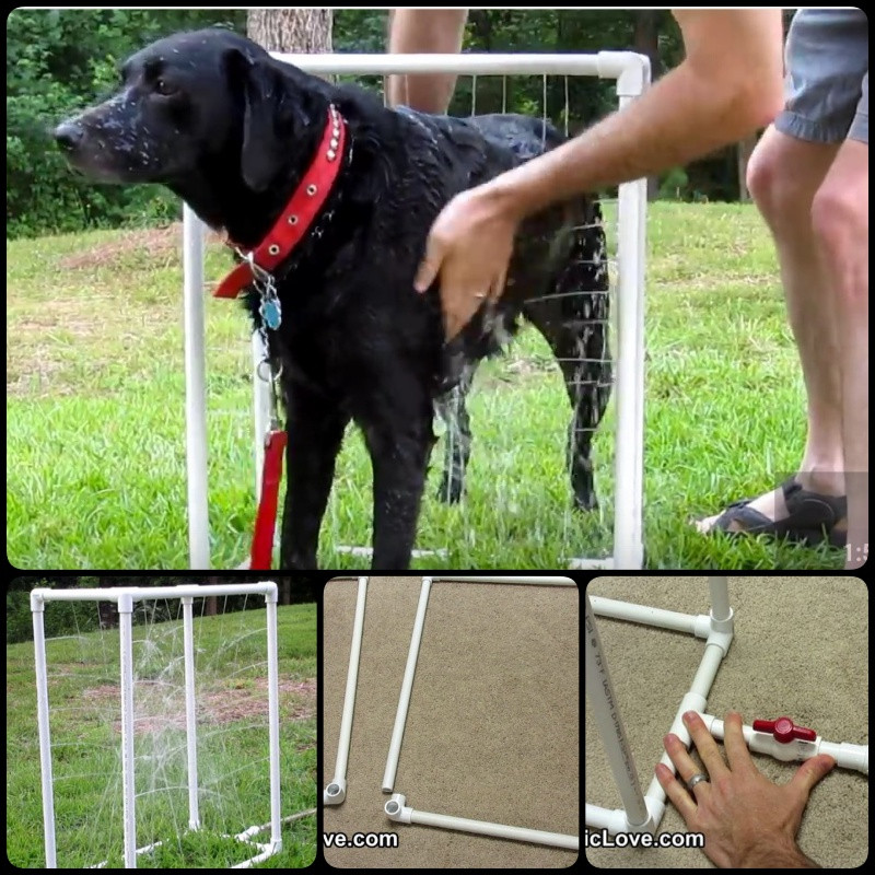 Best ideas about DIY Dog Shower
. Save or Pin DIY Custom Dog Washer Out of PVC Piping Video Now.