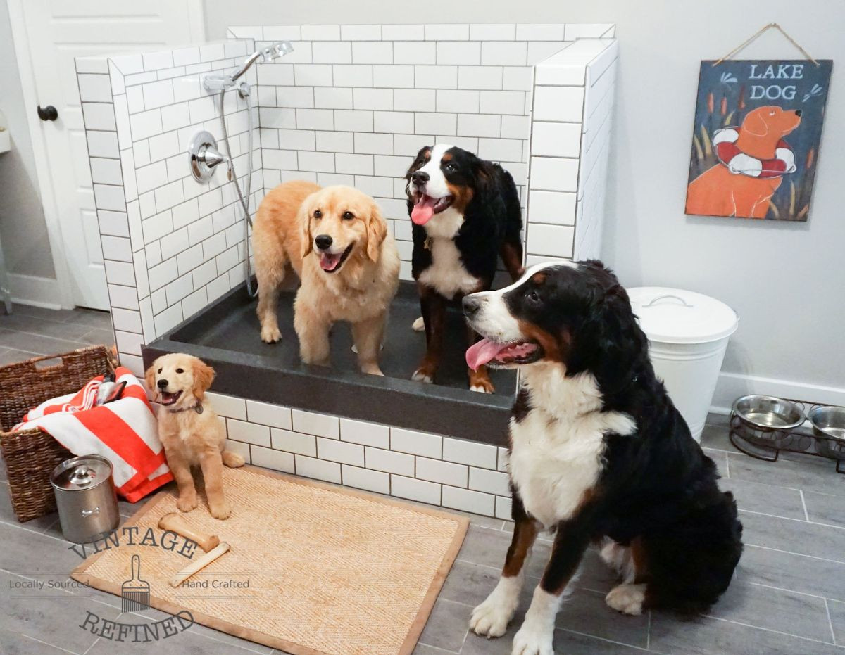 Best ideas about DIY Dog Shower
. Save or Pin Hometalk Now.