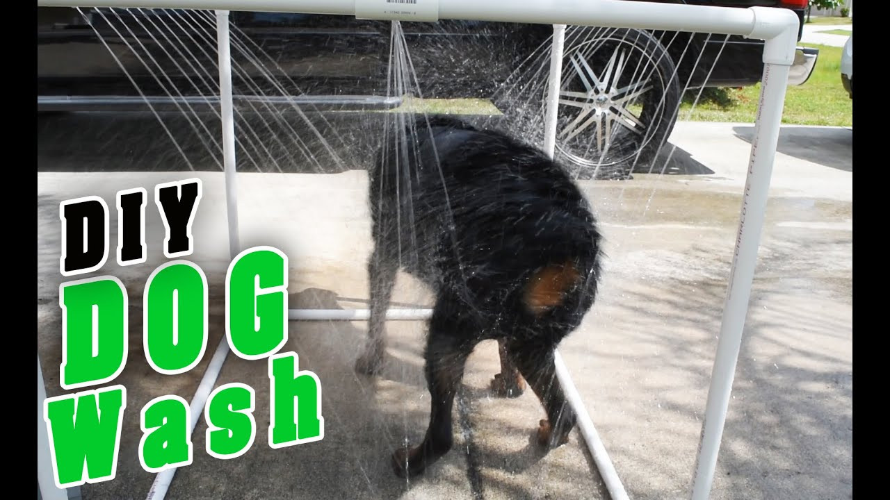 Best ideas about DIY Dog Shower
. Save or Pin DIY PVC Outdoor dog Shower Now.