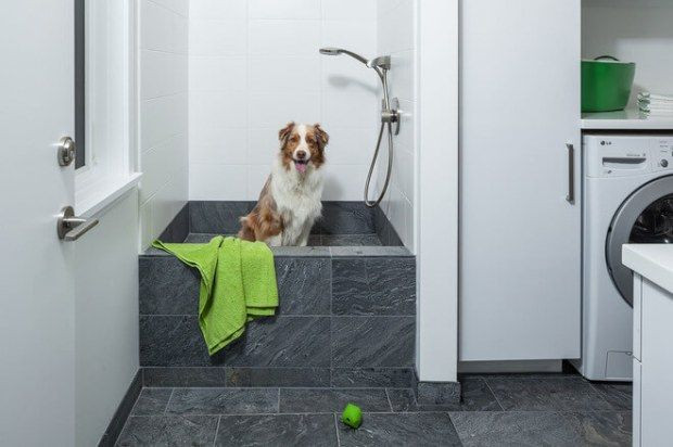 Best ideas about DIY Dog Shower
. Save or Pin Best 25 Dog shower ideas on Pinterest Now.