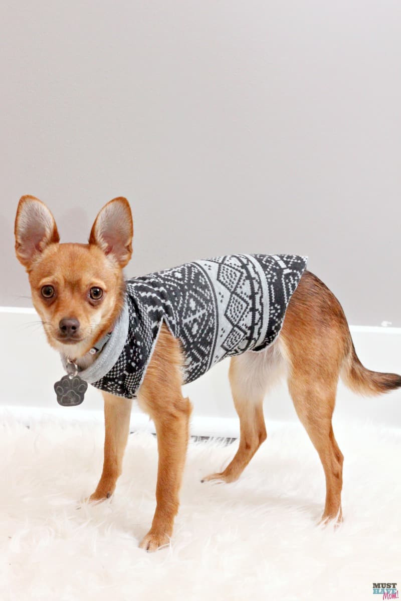 Best ideas about DIY Dog Sweater No Sew
. Save or Pin Make A DIY Dog Sweater From A Sweatshirt Doggie Travel Now.