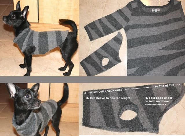 Best ideas about DIY Dog Sweater No Sew
. Save or Pin 7 Best images about For the puppies on Pinterest Now.