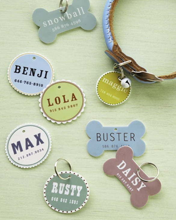 Best ideas about DIY Dog Tag
. Save or Pin DIY Martha Stewart Pet Tags Now.