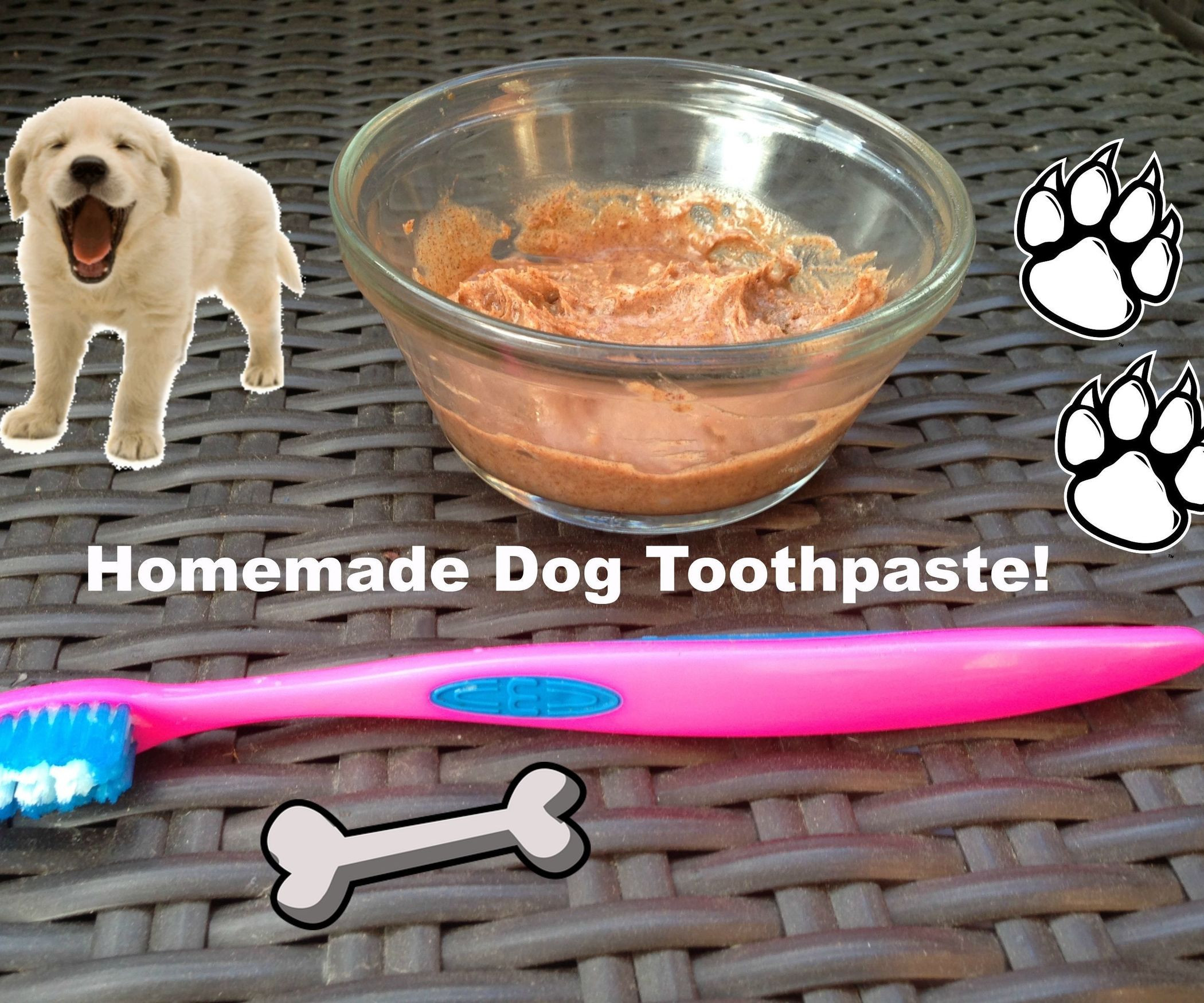 Best ideas about DIY Dog Teeth Cleaning
. Save or Pin Homemade Toothpaste for Dogs 2 Now.