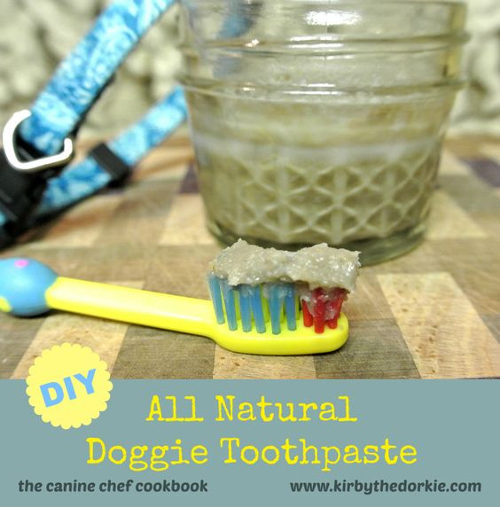 Best ideas about DIY Dog Toothpaste
. Save or Pin DIY Doggie Toothpaste Now.
