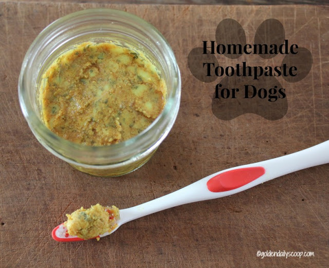 Best ideas about DIY Dog Toothpaste
. Save or Pin DIY Homemade Dog Toothpaste Now.