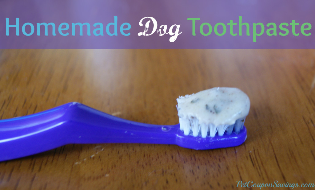 Best ideas about DIY Dog Toothpaste
. Save or Pin Homemade Dog Toothpaste Now.