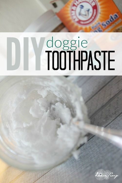 Best ideas about DIY Dog Toothpaste
. Save or Pin DIY Toothpaste for Dogs Pet Care Now.
