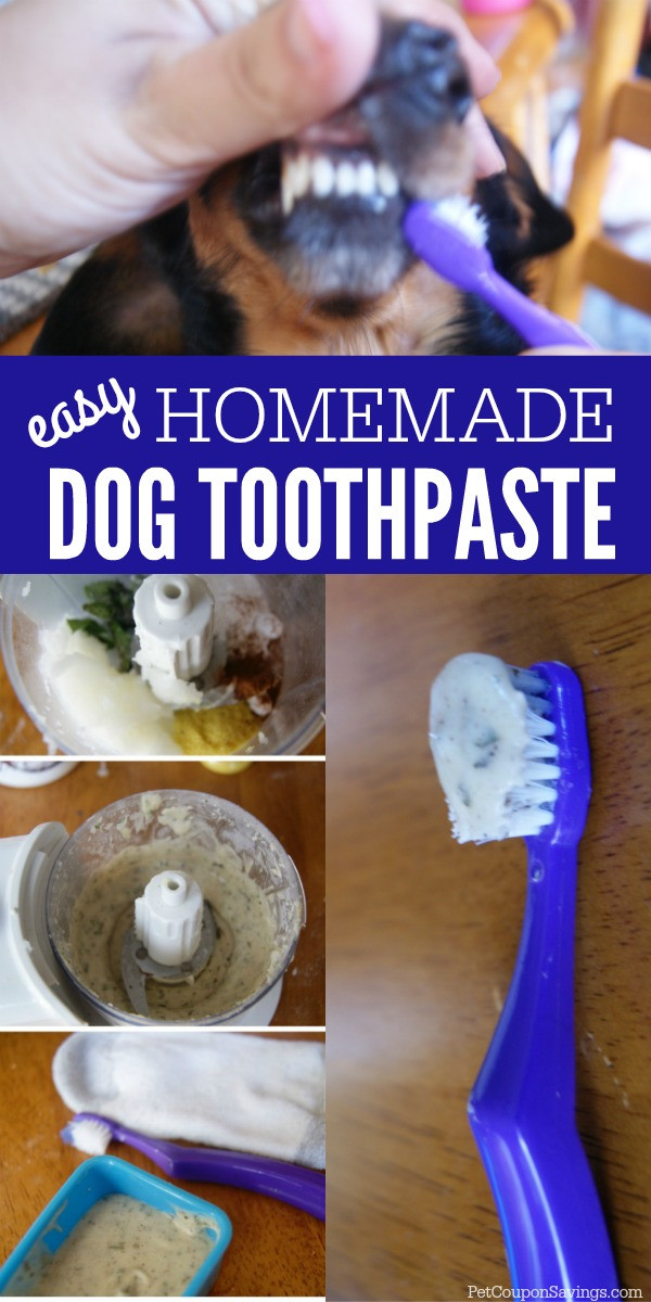 Best ideas about DIY Dog Toothpaste
. Save or Pin Homemade Dog Toothpaste Pet Coupon Savings Now.