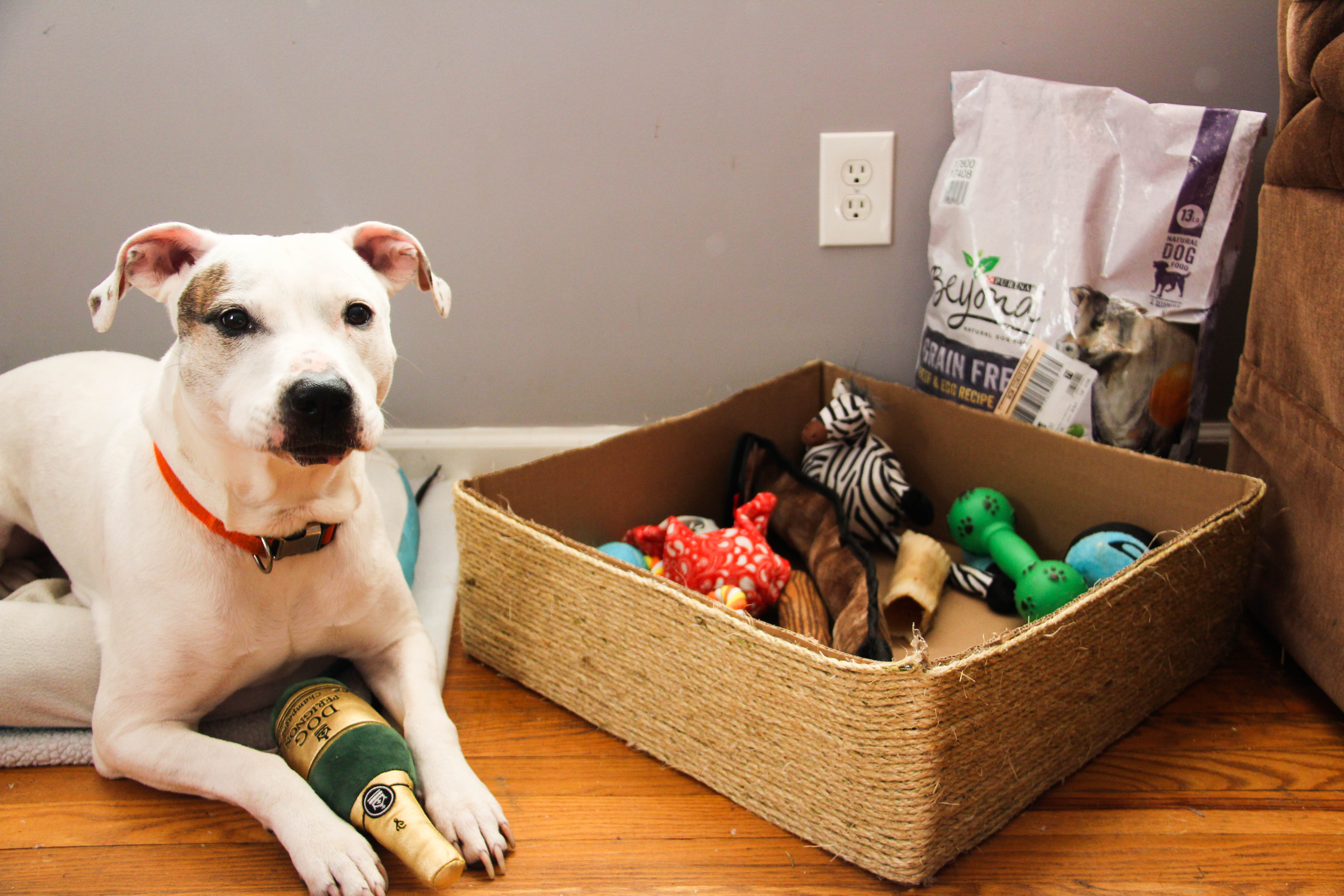 Best ideas about DIY Dog Toy Box
. Save or Pin Dog Toy Box DIY Dog toy bin simple and easy to make Now.