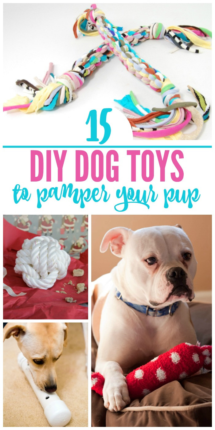 Best ideas about DIY Dog Toys For Chewers
. Save or Pin Diy Dog Toys For Aggressive Chewers – Wow Blog Now.