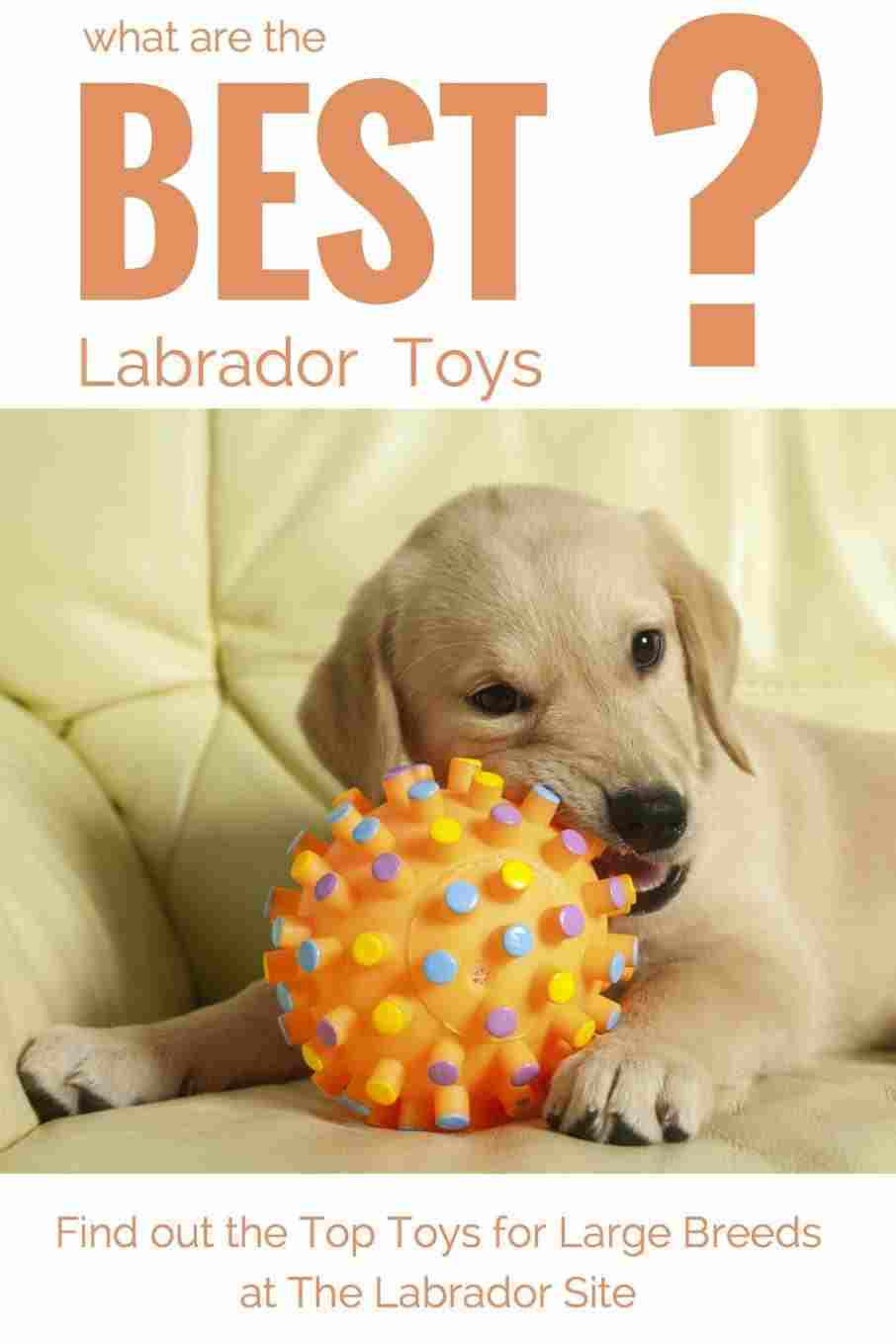 Best ideas about DIY Dog Toys For Chewers
. Save or Pin homemade dog chew toys for aggressive chewers Now.