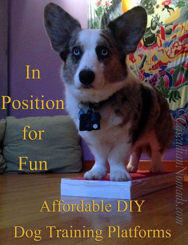 Best ideas about DIY Dog Training
. Save or Pin In Position For Fun Affordable DIY Dog Training Platforms Now.