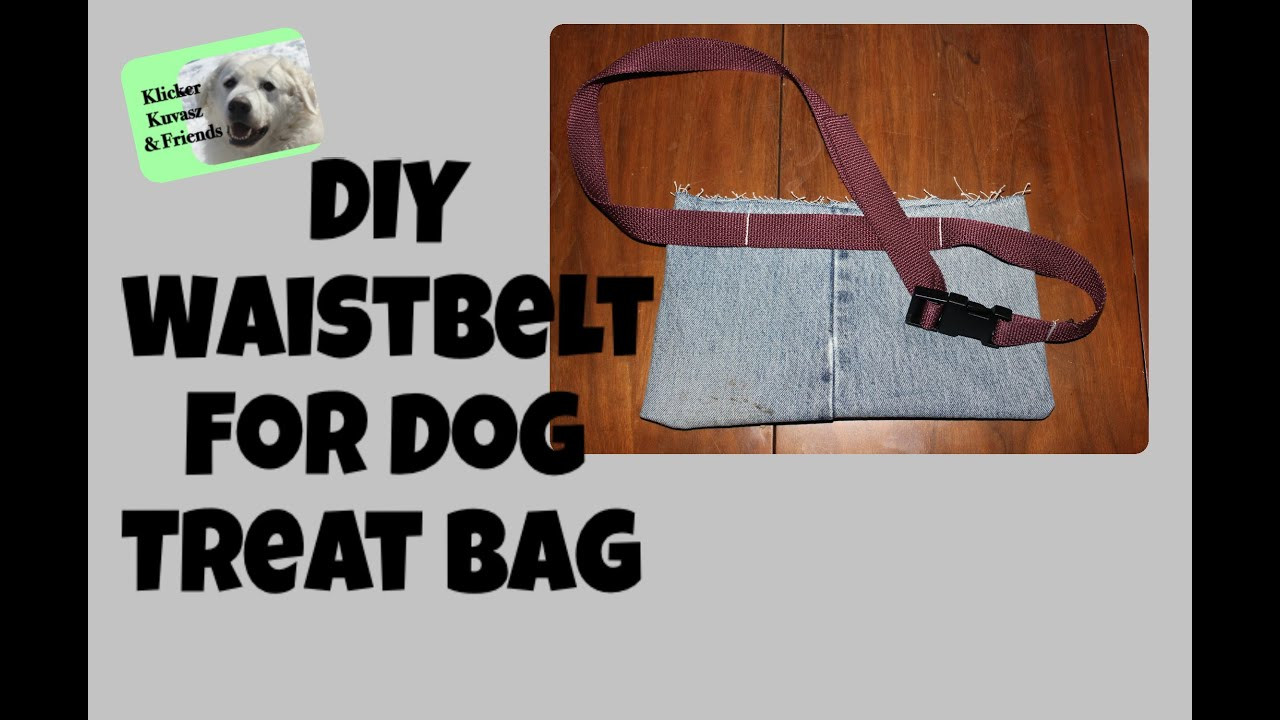 Best ideas about DIY Dog Training
. Save or Pin DIY Waist Belt For Dog Training Treat Bag Now.