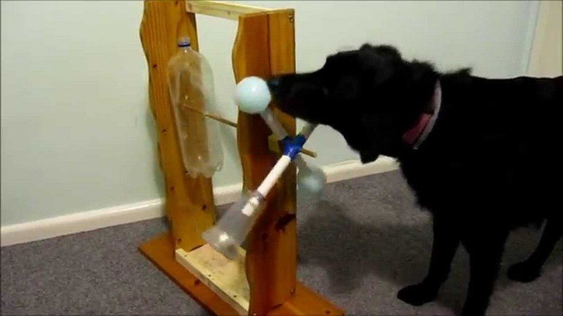 Best ideas about DIY Dog Treat Dispenser
. Save or Pin Spin out dog treat game Now.