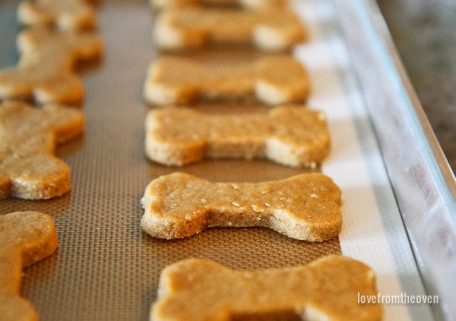 Best ideas about DIY Dog Treats
. Save or Pin Easy Homemade Dog Treats Recipe Now.