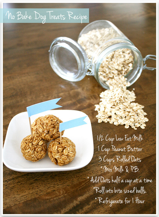 Best ideas about DIY Dog Treats Recipe
. Save or Pin DIY No Bake Dog Treats No Bake Healthy Treats for You Now.