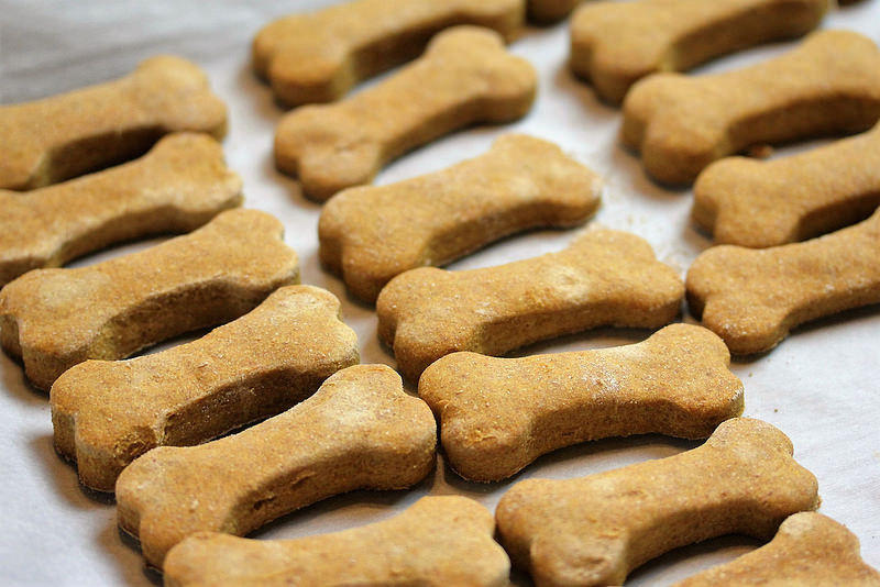 Best ideas about DIY Dog Treats Recipe
. Save or Pin Homemade Pumpkin and Peanut Butter Dog Treats Recipe Now.