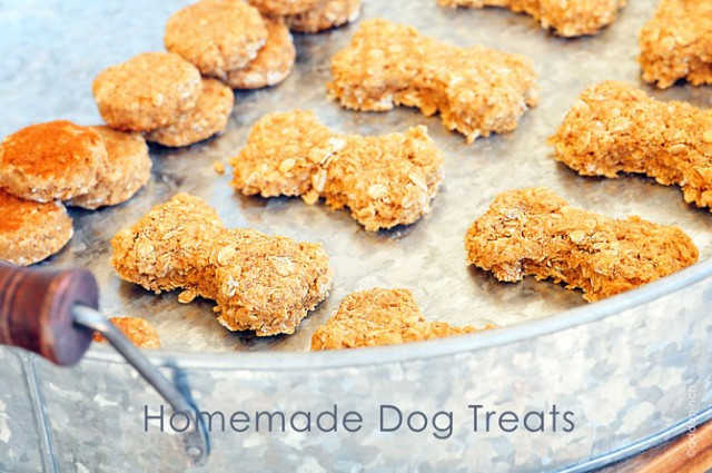 Best ideas about DIY Dog Treats Recipe
. Save or Pin Homemade Dog Treats Recipe Add a Pinch Now.