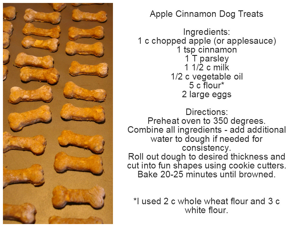 Best ideas about DIY Dog Treats Recipe
. Save or Pin Homemade Apple Cinnamon Dog Treats Now.