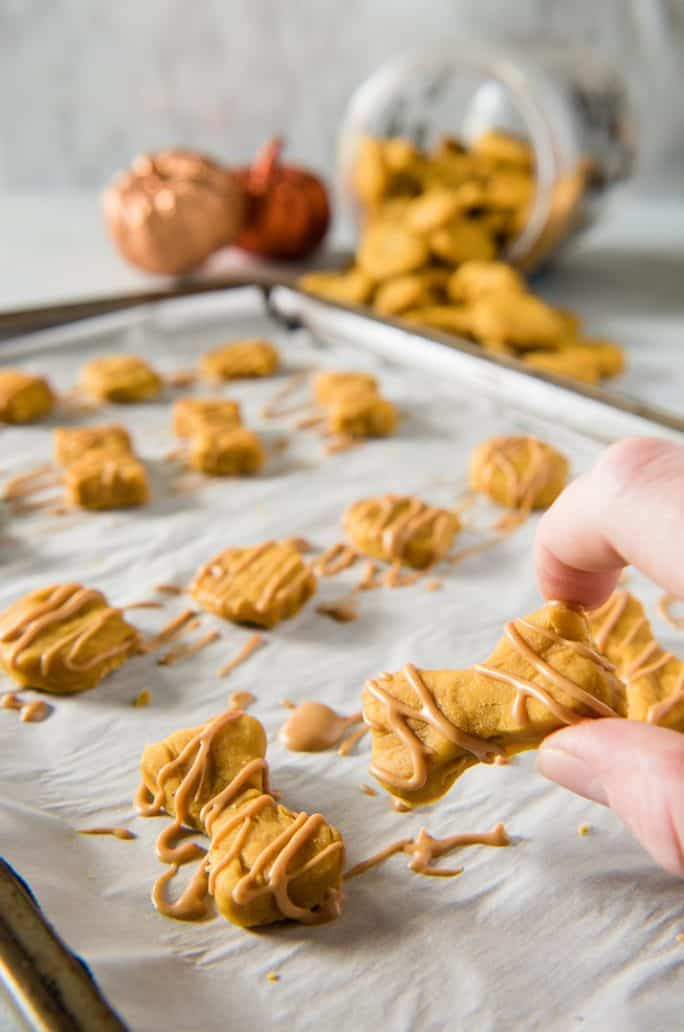 Best ideas about DIY Dog Treats
. Save or Pin Soft Baked Peanut Butter Pumpkin Homemade Dog Treats • The Now.