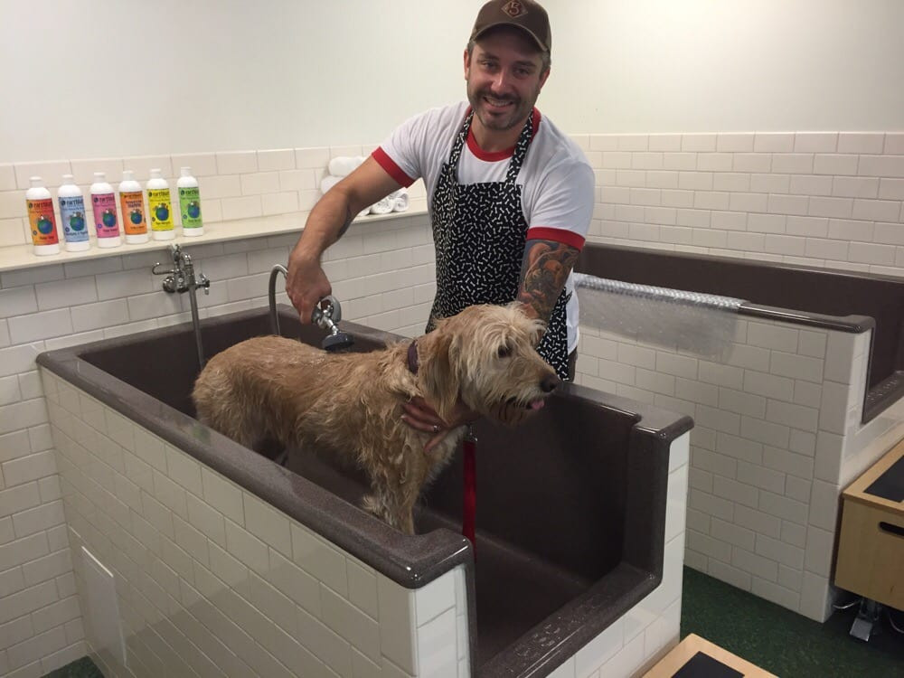 Best ideas about DIY Dog Wash Near Me
. Save or Pin Do it yourself dog washing stations Yelp Now.