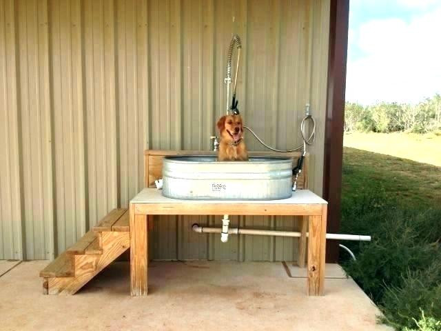 Best ideas about DIY Dog Wash Near Me
. Save or Pin Dog Grooming Station Traverse City Rd Burpengary – Kshitiz Now.