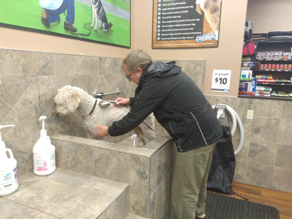 Best ideas about DIY Dog Washing Station
. Save or Pin DIY Dog Washing at Pet Valu Now.