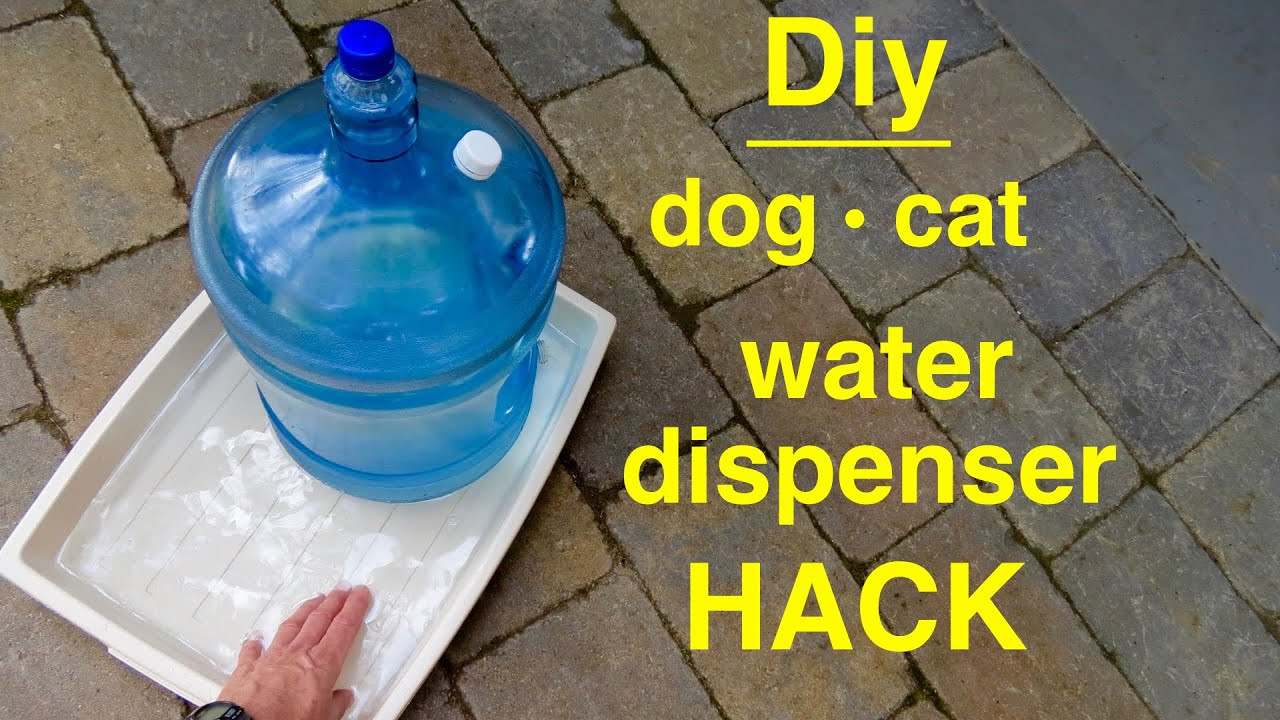 Best ideas about DIY Dog Water Dispenser
. Save or Pin How to make DOG CAT Self filling Water Dispenser Now.